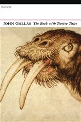 Book cover of The Book with Twelve Tales by John Gallas