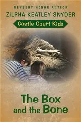 Book cover of The Box and the Bone by Zilpha Keatley Snyder