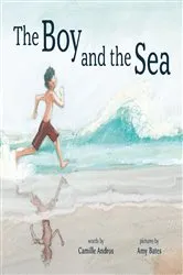 Book cover of The Boy and the Sea by Camille Andros