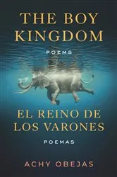 Book cover of The Boy Kingdom / El reino de los varones by Achy Obejas