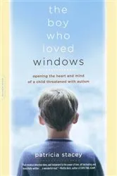 Book cover of The Boy Who Loved Windows by Patricia Stacey
