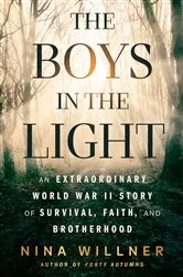 Book cover of The Boys in the Light by Nina Willner