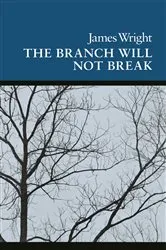 Book cover of The Branch Will Not Break by James Wright