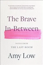 Book cover of The Brave In-Between by Amy Low