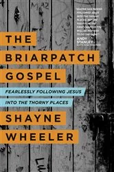 Book cover of The Briarpatch Gospel by Shayne Wheeler