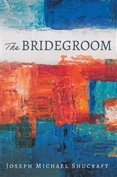 Book cover of The Bridegroom by Ha Jin