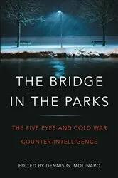Book cover of The Bridge in the Parks by Dennis G. Molinaro