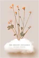 Book cover of The Bright Invisible by Unknown