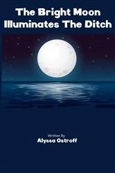 Book cover of The Bright Moon Illuminates The Ditch by Alyssa Ostroff