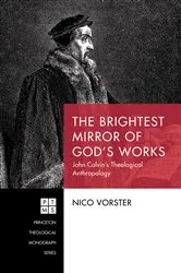 Book cover of The Brightest Mirror of God’s Works by Nico Vorster