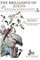Book cover of The Brilliance of Birds by R K Little