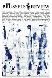 Book cover of The Brussels Review by Dritan Kiçi