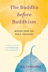Book cover of The Buddha before Buddhism by Gil Fronsdal