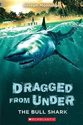 Book cover of The Bull Shark (Dragged from Under #1) by Joseph Monninger