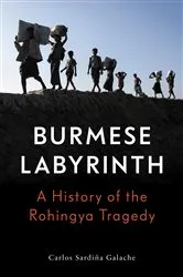 Book cover of The Burmese Labyrinth by Carlos Sardina Galache