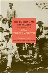Book cover of The Burning of the World by Scott W. Berg