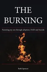 Book cover of The Burning by E.C. Ambrose