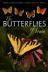 Book cover of The Butterflies of Iowa by Dennis W. Schlicht