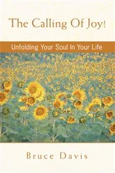 Book cover of The Calling of Joy! by Bruce Davis