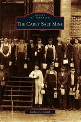 Book cover of The Carey Salt Mine by Barbara C. Ulrich