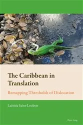 Book cover of The Caribbean in Translation by Florian Mussgnug