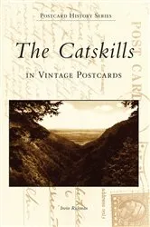 Book cover of The Catskills in Vintage Postcards by Irwin Richman