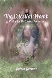 Book cover of The Celestial Womb by Ayleen Guzman