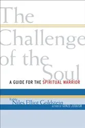 Book cover of The Challenge of the Soul by Niles Elliot Goldstein