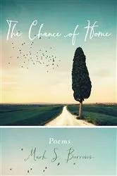 Book cover of The Chance of Home by Mark S. Burrows