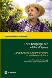 Book cover of The Changing Face of Rural Space by Julian Lampietti