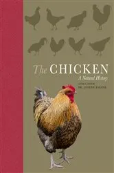 Book cover of The Chicken by Joseph Barber