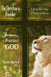 Book cover of The Christian's Provider by Ruth Bartel