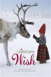 Book cover of The Christmas Wish by Lori Evert