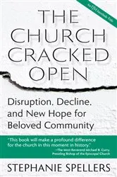 Book cover of The Church Cracked Open by Stephanie Spellers