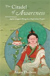 Book cover of The Citadel of Awareness by Anam Thubten