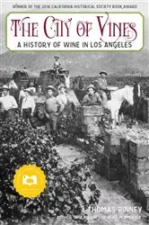 Book cover of The City of Vines by Thomas Pinney