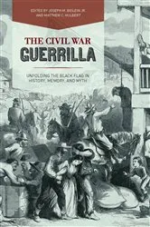 Book cover of The Civil War Guerrilla by Beilein, Jr., Joseph M.