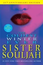 Book cover of The Coldest Winter Ever by Sister Souljah