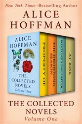Book cover of The Collected Novels Volume One by Alice Hoffman