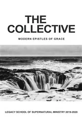 Book cover of The Collective by Dr. R. Brian Kisner