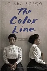 Book cover of The Color Line by David Lyons