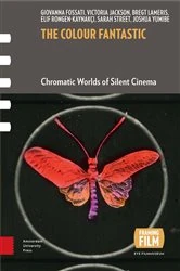 Book cover of The Colour Fantastic by Giovanna Fossati