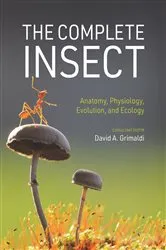 Book cover of The Complete Insect by David A. Grimaldi