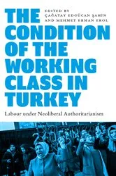 Book cover of The Condition of the Working Class in Turkey by Çaatay Edgücan Sahin