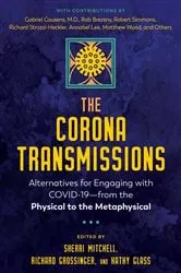 Book cover of The Corona Transmissions by Sherri Mitchell