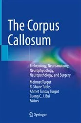 Book cover of The Corpus Callosum by Mehmet Turgut