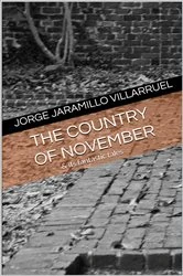 Book cover of The Country of November by Jorge Jaramillo Villarruel