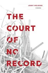 Book cover of The Court of No Record by Jenny Molberg