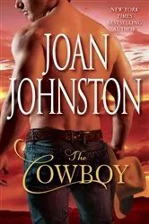 Book cover of The Cowboy by Philip Ashton Rollins
