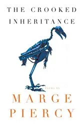 Book cover of The Crooked Inheritance by Marge Piercy